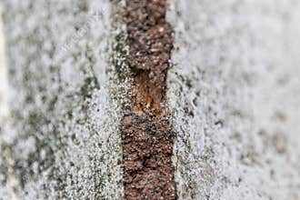 Rust corrosion metal texture crack wall Rust corrosion metal texture crack weathered wall surface, closeup detail showing rough
