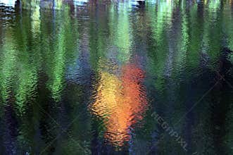 Fall reflections on a lake