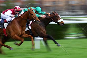 Competition between two horses