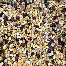 Dry Bean Soup Mix