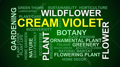 Cream Violet Word Cloud