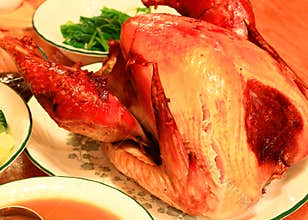 Roast Turkey