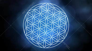 The Flower of Life Forming Sacred Geometry Symbol