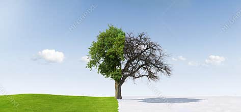 Changing seasons