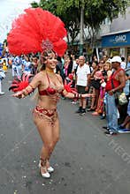 Dancer in Peruvian carnaval