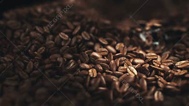 Coffee beans in the grinder