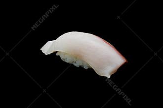 Hamachi Sushi, Buri Sushi or Amberjack fish, Yellow tail Fusiler fish on Japanese rice.