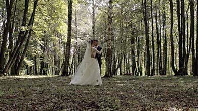 Wedding dance of the bride and groom in the woods