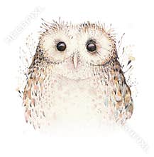 Watercolor natural birds feathers boho owl. Bohemian owls poster. Feather boho illustration for your design. Bright blue