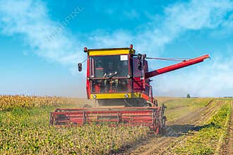 Soybean harvesting