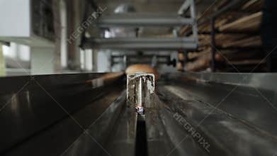 POV conveyor belt. Bread factory