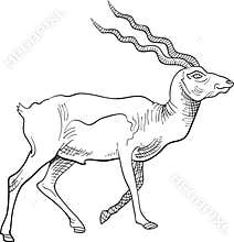Walking deer with traditional brush stroke