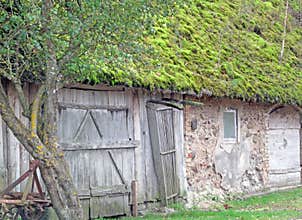 A Moss Covered Farm Building Roof.