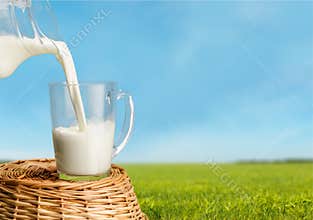 Milk