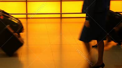 Silhouette of pilot and cabin crew