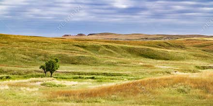 South Dakota Grassland
