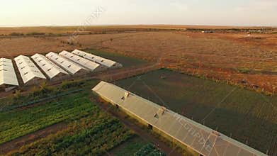 Agricultural Field With Greenhouses Plantations At Sunset