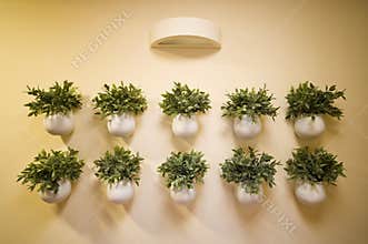 Wall flowers decoration