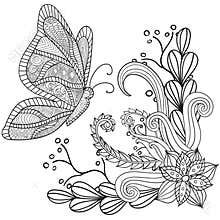 Hand drawn artistic ethnic ornamental patterned floral frame with a butterfly