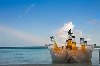 Beer Bowl