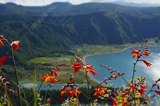 Amazing landscape view of crater volcano lake in Sao Miguel island Azores Portugal with flowers