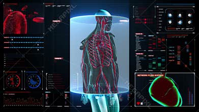 Scanning blood vessel in male body in digital display dashboard. X-ray view
