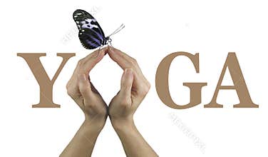 Offering You Yoga