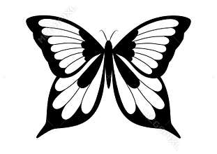 Black and white elegant butterfly