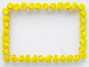Border Made Of Easter Chicks