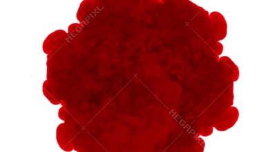 Overhead shot. Red paint spray in water and move in slow motion. Use for inky background or backdrop with smoke or ink