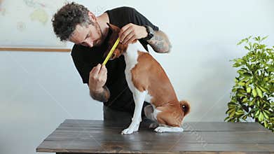Man measures his dog with ruler