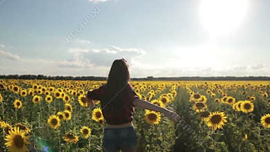 Charming woman enjoying leisure in sunflower field