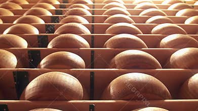 Parmesan wheels cheese forms seasoning at a Parmigiano Reggiano factory
