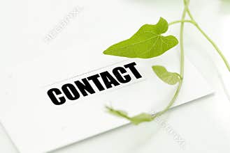 Contact for environmental cons