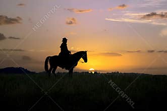 Cowboy silhouette