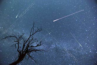 Shooting Stars