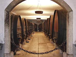 Wine Celler 2