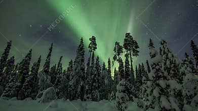 Aurora borealis over Lapland forest in Finland
