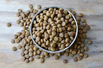 Dog food in circle stainless bowl
