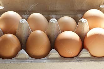 Carton of Fresh Brown Eggs