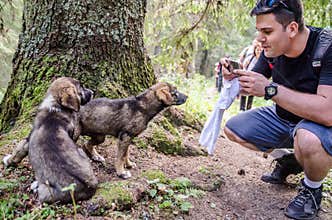 Hikers love us, puppies