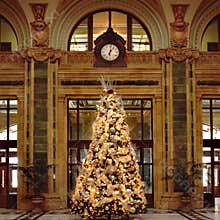 Christmas tree 1