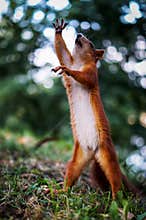 How would I get hard?