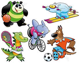 Sport and Animal