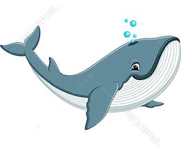 Cute whale cartoon