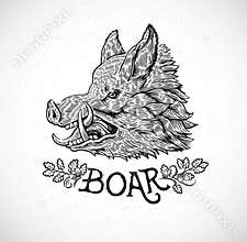 Boar head.