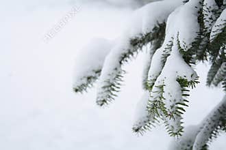 Snow Scene