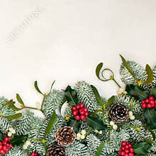 Winter Solstice and Christmas Border