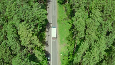 Transport logistics truck drive forest road highway nature