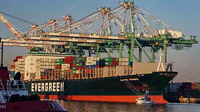 Container ship Ever Sigma at the cargo terminal in the port of Los Angeles, gantry cranes overhead